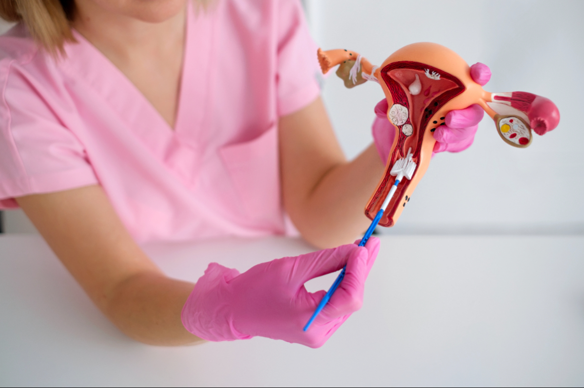 Гінекологія